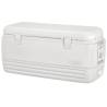 Lada frigorifica IGLOO Maxcold Polar 120qt, 113L, 98x44x45cm