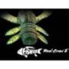 Rac FISHUP Real Craw 3.8cm, culoare 055 Chartreuse Black, 10buc/plic