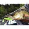 Shad KEITECH Easy Shiner 16.5cm, Clear Chartreuse Glow 026, 3buc/plic