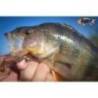 Shad FISHUP Wizzy 3.5cm, culoare 057 Bluegill, 10buc/plic