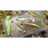 Naluca FISHUP Wizzle Shad 12.5cm, culoare 055 Chartreuse Black, 4buc/plic