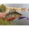 Naluca FISHUP Mighty Grub 13.3cm, culoare 057 Bluegill, 4buc/plic