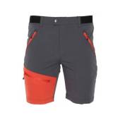 Pantaloni scurti FAVORITE Track Shorts Anthracite L