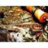 Lingurita rotativa SMITH AR-S Spinner Trout 4.5g, culoare 21