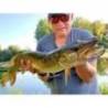 Vobler RIVER2SEA ICBM 120, 12cm, 42.5g, culoare Pike 12