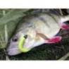 Shad KEITECH Swing Impact 6.3cm, Shrimp FLK 27, 10buc/plic