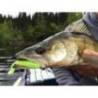 Shad KEITECH Easy Shiner 12.5cm, Snow Mint 58, 5buc/plic