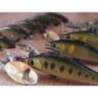 Vobler SMITH AR-HD Minnow 4.5cm 4.8g, culoare 05