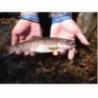 Lingurita rotativa SMITH AR-S Spinner Trout 1.6g, culoare 02 MTBK