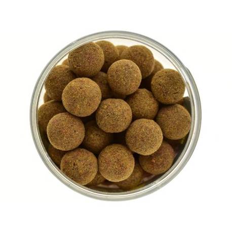 Boilies de carlig special intarit SELECT BAITS Liver Spice 20mm