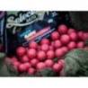 Boilies SELECT BAITS Classic Strawberry, 20mm, 800g