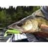 Shad Keitech Easy Shiner Bluegill Flash 418