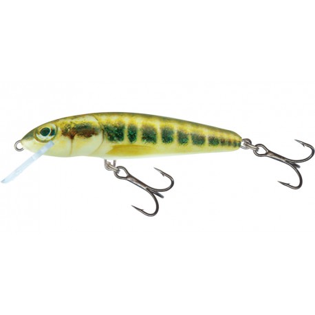 Vobler SALMO MINNOW M7F 6G M