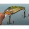 Vobler RIVER2SEA Biggie 67, 6.7cm, 16g, culoare Real Perch 09