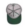 Sapca FAVORITE Pike Cap Gray