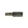 Set 10 biti FELO Industriall profil Torx, C6.3, TX10, 25mm