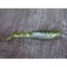 Naluca KP BAITS Original Shad 7.5cm, culoare 136 Glow, 5buc/plic