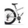 Bicicleta Fat Bike CARPAT Aventus C26217A, roti 26", Gri/Portocaliu/Negru