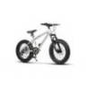 Bicicleta copii Fat Bike VELORS Hercules V2019B roti 20", Argintiu/Albastru