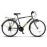 Bicicleta city RICH Meridian R2635A roti 26", Gri/Verde