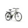 Bicicleta city RICH Meridian R2635A roti 26", Gri/Verde