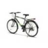 Bicicleta city RICH Meridian R2635A roti 26", Gri/Verde