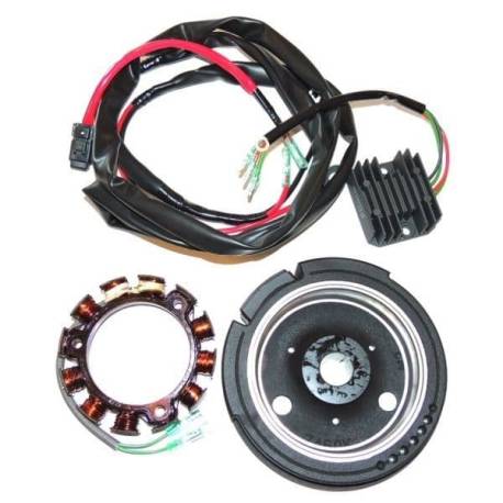 Kit alternator YAMAHA pentru motoare F4 - F6 in 4 timpi