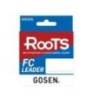 Fir fluorocarbon GOSEN Roots FC Leader 50m, 4.0 PE, 0.33mm, 7.25kg