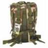 Rucsac tactic CATTARA 30L, camo