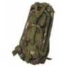 Rucsac tactic CATTARA 30L, camo