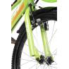 Bicicleta Copii 4-6 ani Rich R1605A, Roti 16 Inch, Frana fata V-Brake, Frana Spate Tambur, Roti Ajutatoare, Verde/Alb