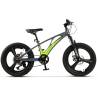 Bicicleta copii MTB CARPAT C20343A, roti 20", Gri/Verde