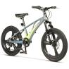 Bicicleta copii MTB CARPAT C20343A, roti 20", Gri/Verde