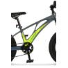 Bicicleta copii MTB CARPAT C20343A, roti 20", Gri/Verde