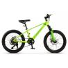 Bicicleta copii MTB CARPAT Hiro C20342A, roti 20", Verde