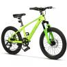 Bicicleta copii MTB CARPAT Hiro C20342A, roti 20", Verde