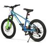 Bicicleta copii MTB CARPAT Hiro C20342A, roti 20", Albastru/Verde