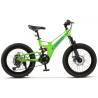 Bicicleta copii MTB-FS CARPAT C20344A, roti 20", Verde/Albastru