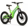 Bicicleta copii MTB-FS CARPAT C20344A, roti 20", Verde/Albastru