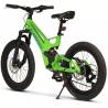 Bicicleta copii MTB-FS CARPAT C20344A, roti 20", Verde/Albastru