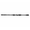 Lanseta DAIWA EXCELER SPIN 2.25m, 5-20g, 2 tronsoane