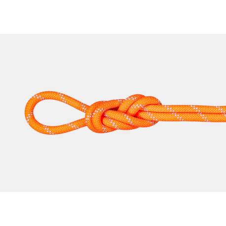 Coarda dinamica MAMMUT Alpine Dry 9.5mm, Orange, 60m