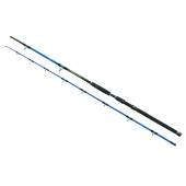 Lanseta WIZARD CAT PRO POWER 3.00m, 600-800g, 2 tronsoane