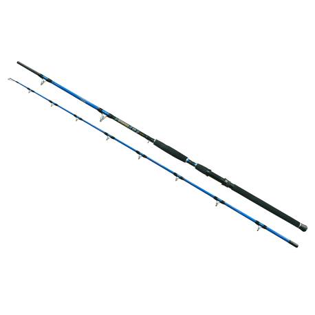 Lanseta WIZARD CAT PRO POWER 3.00m, 600-800g, 2 tronsoane