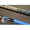 Lanseta WIZARD CAT PRO POWER 3.00m, 600-800g, 2 tronsoane