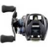 Multiplicator baitcasting DAIWA STEEZ A TW HLC 7.1L, 100, 12 rulmenti, 80mx0.26mm, 8.1:1