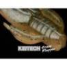 Naluci KEITECH Crazy Flapper Electric Smoke Craw 462, 5cm, 8 buc/plic