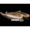 Gume KEITECH Shad Impact Wakasagi 412, 7.6cm, 10 buc/plic