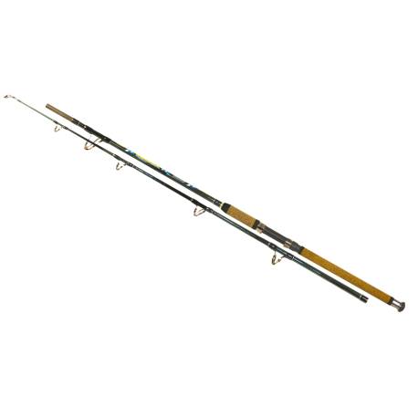 Lanseta WIZARD Catfish Monster 2.20m, 500-700g, 2 tronsoane