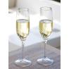 Set de 6 pahare pentru champagne Tritan MARINE BUSINESS, 240x50mm, 236ml